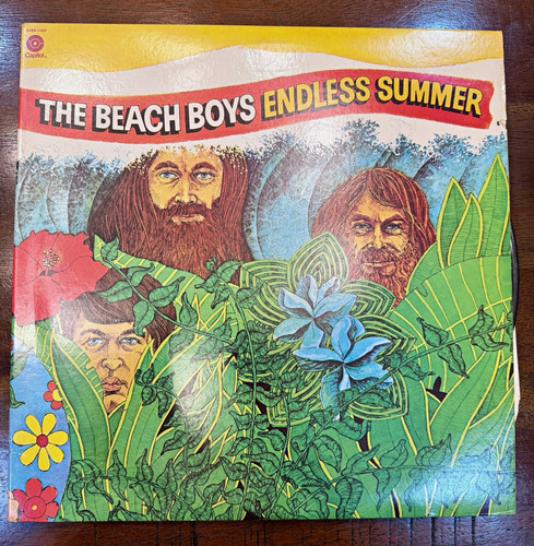 The beach boys - beach,